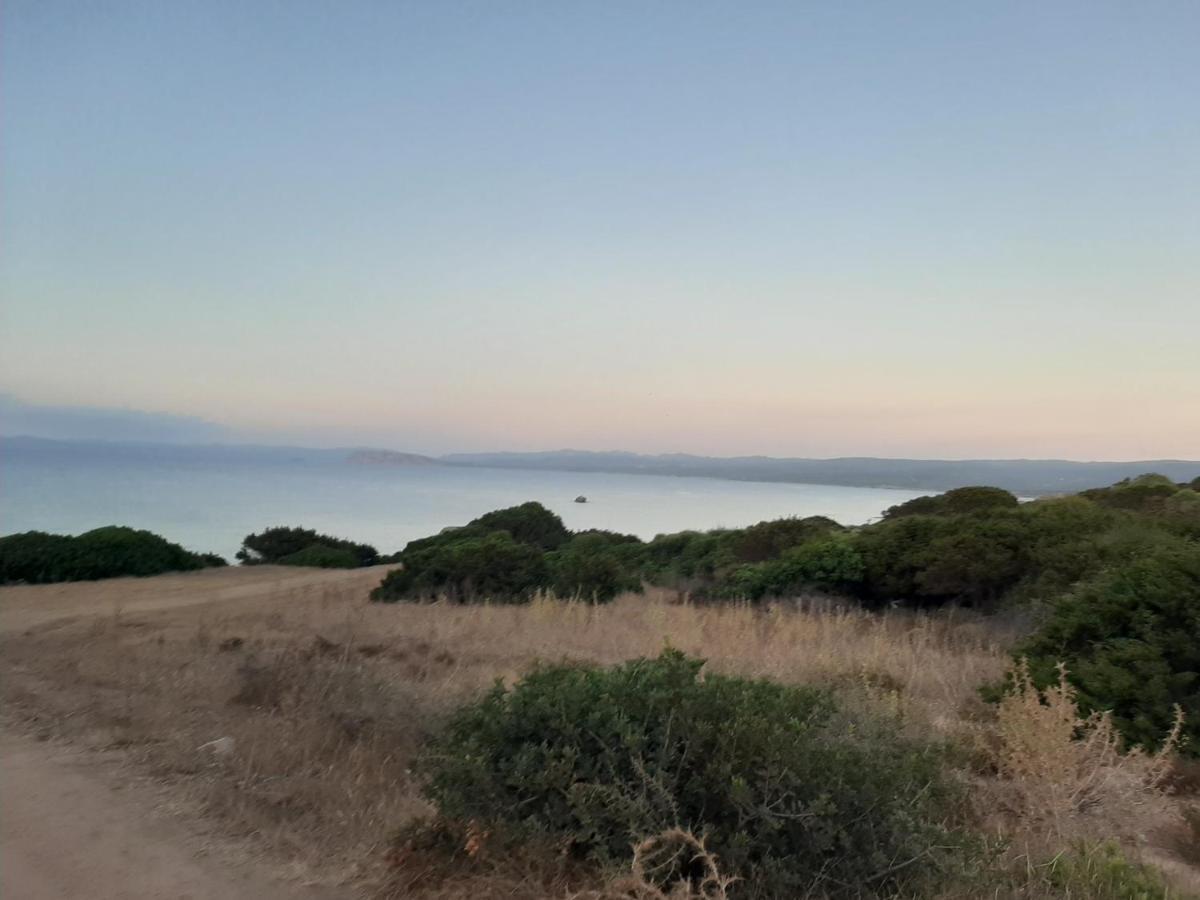 Appartamento Residence Mirice Vignola Mare Aglientu Casa Giorgia Exteriér fotografie